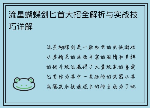流星蝴蝶剑匕首大招全解析与实战技巧详解